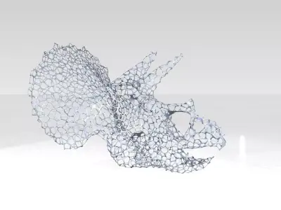Triceratops Skull Voronoi 3D model