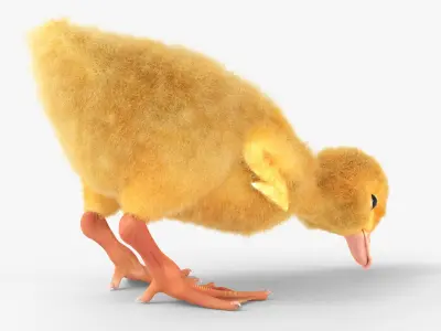  Baby Duckling Fur Rigged For Blender Animated Set 
