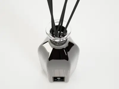 Ambient Perfume n1 3D model