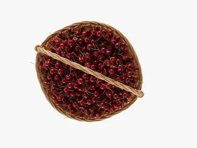  Baskets And Containers With Berries 