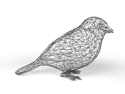 Sparrow Wireframe Low-poly 3D model