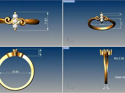 Light weight ring model  3D print model get