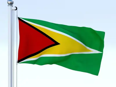 Animated Guyana Flag Low-poly 3D model