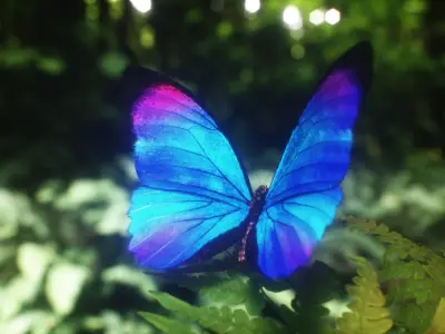  Blue Morpho Butterfly 