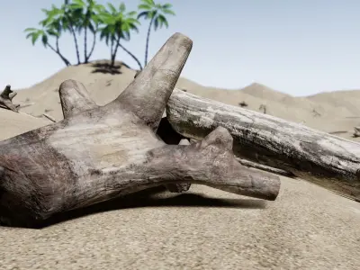 Driftwoods - Game Ready - PBR wooden stick Low-poly 3D model