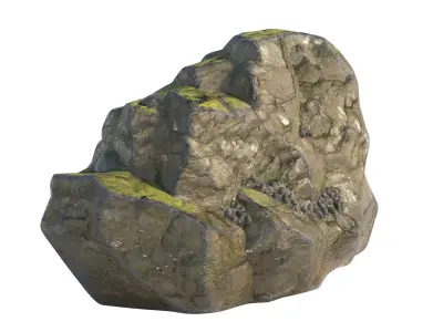Wet Cliff Rock  Low-poly 3D model