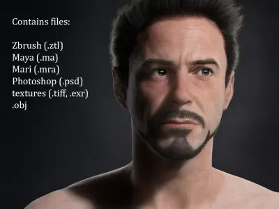 Robert Downey Jr Low-poly 3D model