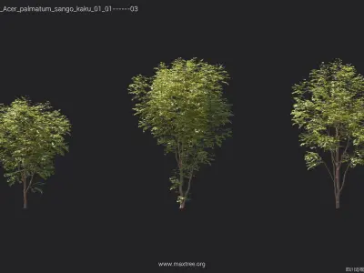 Maxtree Plant Models Vol 23 Low - Mesh 3D model