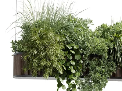 Hanging Plants - Indoor plant 505 corona 3D model