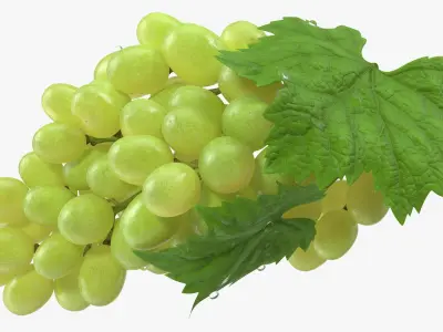  Bunch of Green Grapes 