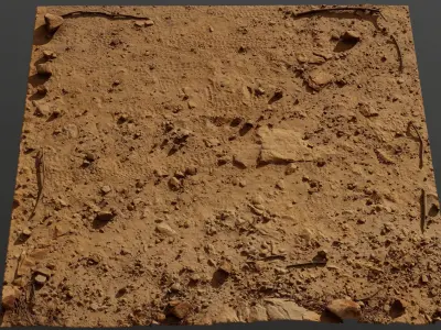 Ground01  3D model