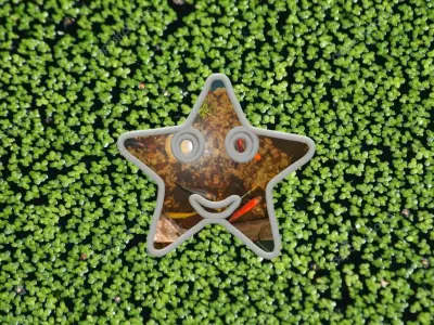 Aqua Feeder Star Fish 3D print model