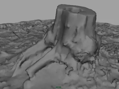 Tree Stump 4 3D model