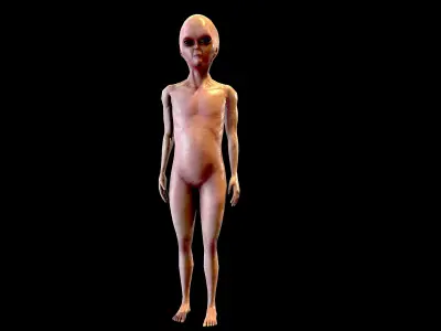 Realistic Alien 1 Roswell UFO incident Low-poly 3D model
