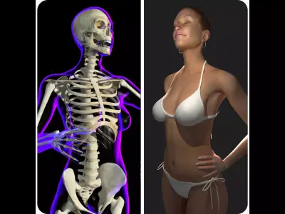 Full Female Body X-Ray With Skeleton 3D model