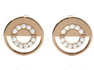 Light wt Women Diamond Earrings  3D print model