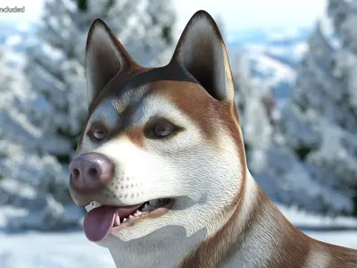  Large Dogs Rigged for Cinema 4D Collection 