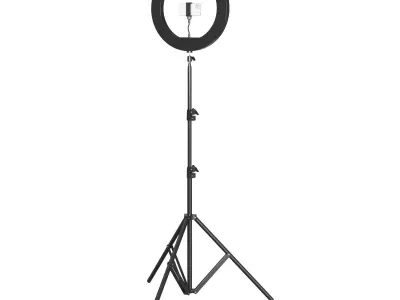 Selfie Lamp 3D model