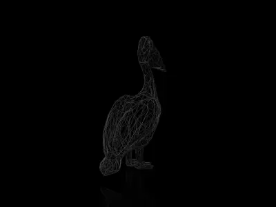 Pelican Wireframe Low-poly 3D model