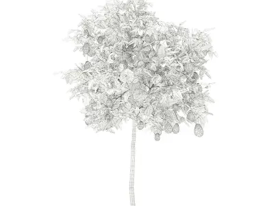 Avocado Tree with Fruits 3D model