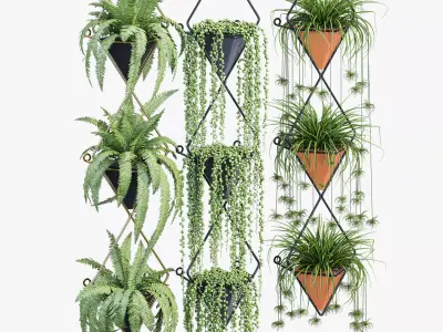 Rhombus group of plants hanging 3D model