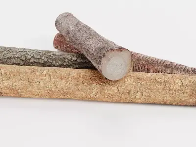 Tree Log Set V6 - Pile of 4 Cut Timber Logs Low-poly 3D model