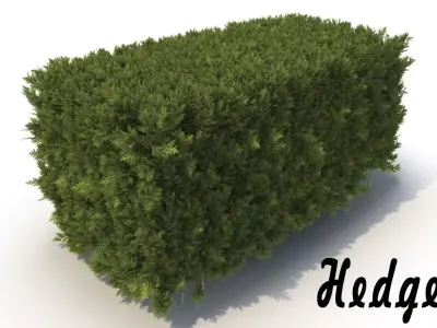 Hedge 3D model