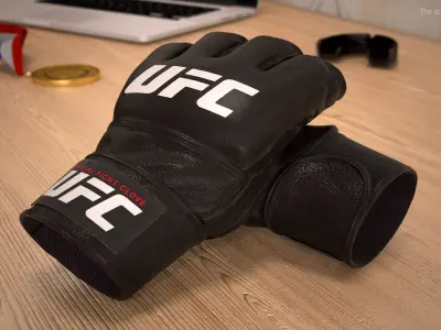  UFC Official Leather Fight Gloves 