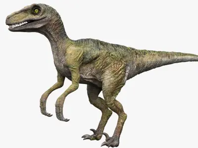  Velociraptor(Animated)(Rigged) 