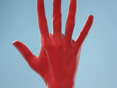  13 Female Hands Collection 