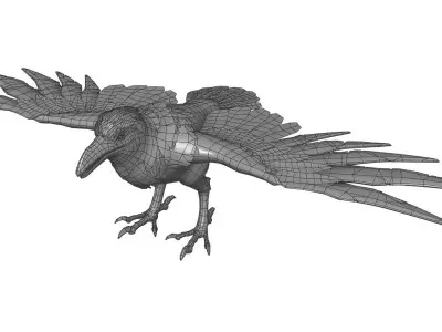  Vail Crow Anim Rig 