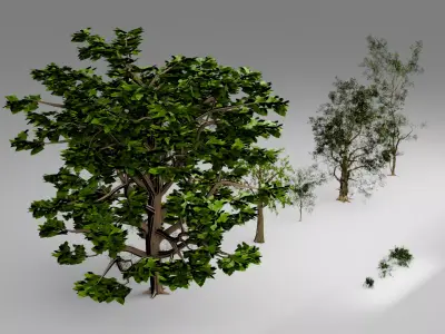 Low Poly Stylized Trees and Bushes Pack Low-poly 3D model