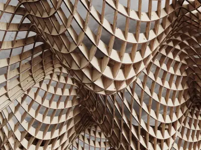 Parametric cage ceiling 3D model