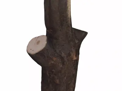 trunk 104 3D model purchase