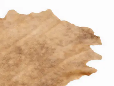 Beige Cow Hide Rug 3D model