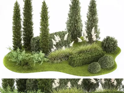 Garden of thuja and cypress trees with pampas grass bushes 1152 3D model
