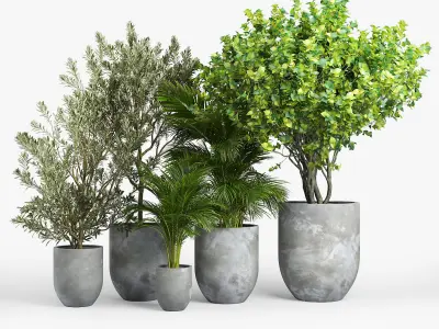 Concrete set tree in pot 3D model