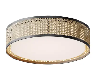 Lyla Ceiling Flush Light 3D model