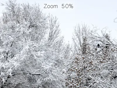 Panorama of the park with a lake and snow-covered trees - 46k 3D model