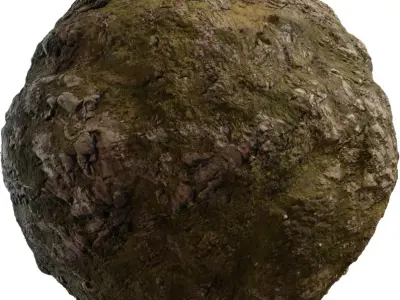 Rocky Moor Grass Blend Texture