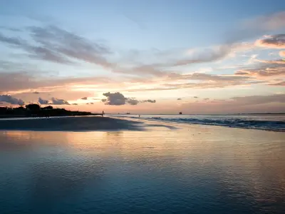 Ocean for Rhino 3 3D model 3D model