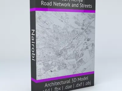 Nairobi Road Network and Streets 3D model