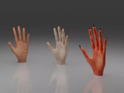 Hands 3D model Low-poly 3D model
