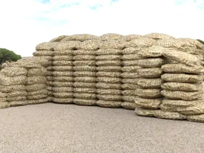 Medieval Ruins in fbx and obj formats 3D model