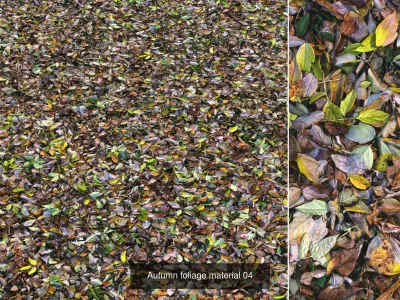 Autumn foliage PBR materials 3D Model Pack