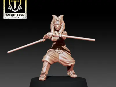 The Ronin 3D print model