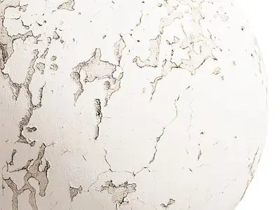 Plaster Seamless Texture 2K - EXR 5 - JPG 5 Texture Texture