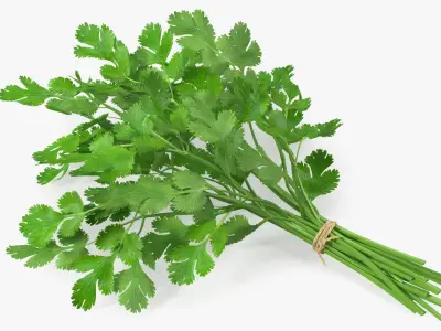  Salad Greens Collection 5 