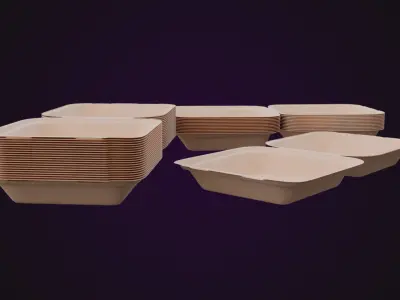 Cardboard paper - Disposable Container 3D model