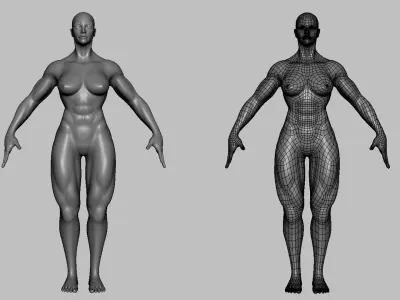 Blender - Muscular Male & Female Anatomy - Topology + UV